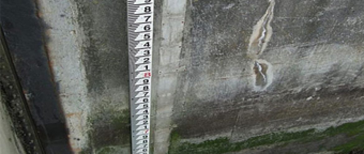 Staff Gauge